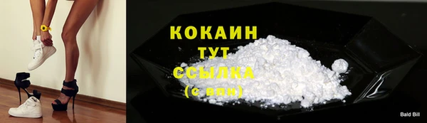 эйфоретик Баксан