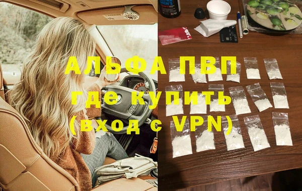 эйфоретик Баксан