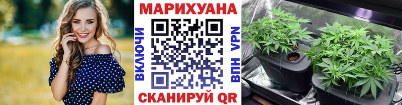 Конопля White Widow  Купить где  Тюмень 